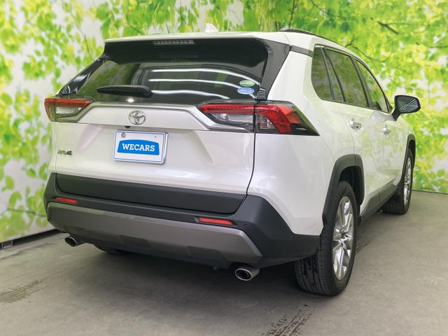 RAV42.0 G Zパッケージ 4WD