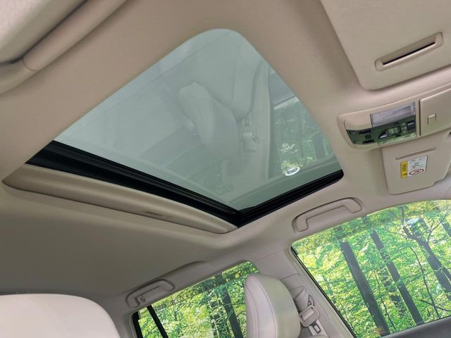 �y�T�����[�t�z�J���������Ղ�̊󏭑����A�T�����[�t����������Ă��܂�!�ԓ��ɖ�����������ꂽ��i�F���y���ވȊO�ɂ��A�ԓ��̋�C���ȒP�Ɋ��C�ł��ĉ��K�ł�!