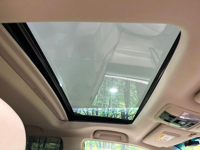 �y�T�����[�t�z�J���������Ղ�̊󏭑����A�T�����[�t����������Ă��܂�!�ԓ��ɖ�����������ꂽ��i�F���y���ވȊO�ɂ��A�ԓ��̋�C���ȒP�Ɋ��C�ł��ĉ��K�ł�!