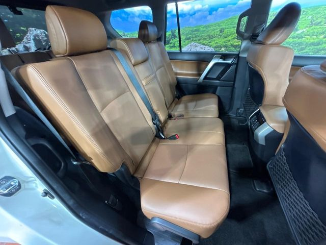 �㕔���Ȃ��C�ɂȂ�悤�ȃL�Y�E�����ւ��蓙�A�傫�ȃ_���[�W�͂Ȃ��A�ǍD�ȏ�Ԃł��B