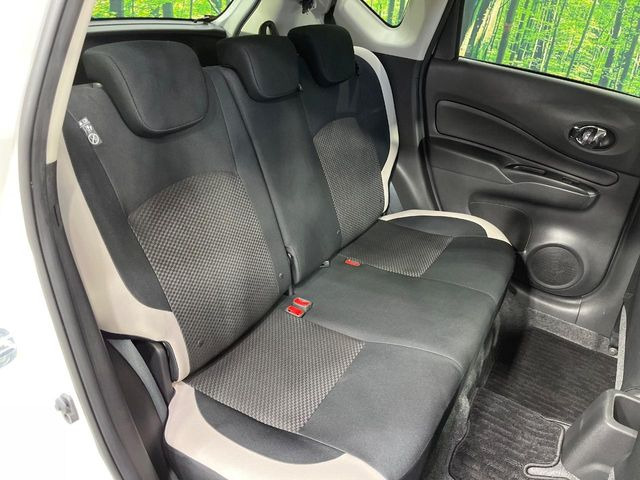 �㕔���Ȃ��C�ɂȂ�悤�ȃL�Y�E�����ւ��蓙�A�傫�ȃ_���[�W�͂Ȃ��A�ǍD�ȏ�Ԃł��B