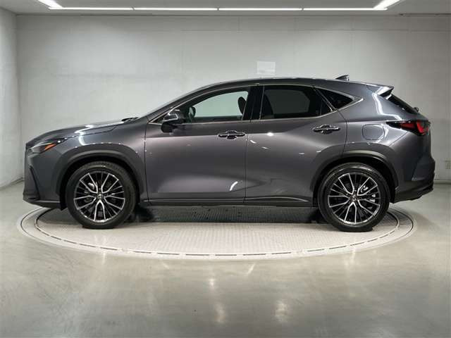 NX250 バージョンL