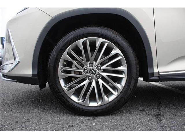 ���Ǝҗl�ւ̔̔��͂��f�肳���Ă��������܂��B�Ԍ������ԗ��̏ꍇ�́A�Ԍ����擾�������x�������z�ŕ\�����Ă���܂��B