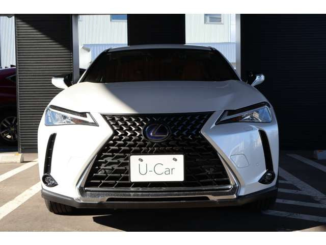 UX250h バージョンC 4WD