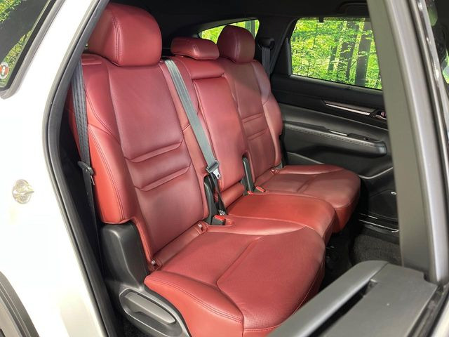 �㕔���Ȃ��C�ɂȂ�悤�ȃL�Y�E�����ւ��蓙�A�傫�ȃ_���[�W�͂Ȃ��A�ǍD�ȏ�Ԃł��B