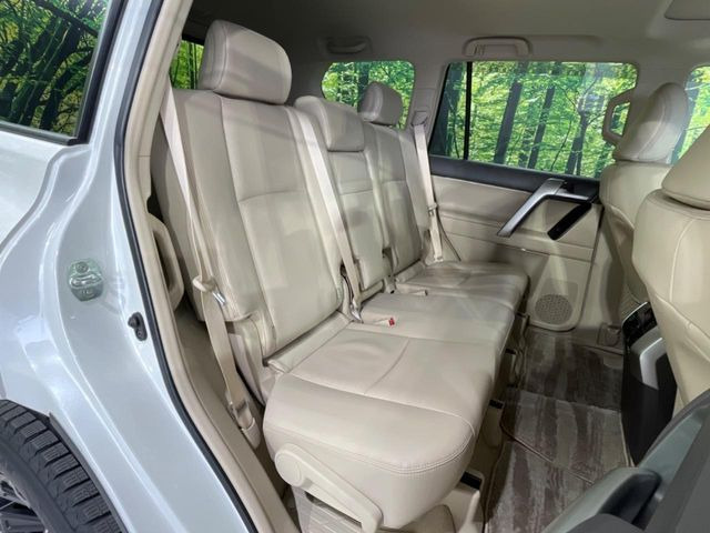 �㕔���Ȃ��C�ɂȂ�悤�ȃL�Y�E�����ւ��蓙�A�傫�ȃ_���[�W�͂Ȃ��A�ǍD�ȏ�Ԃł��B