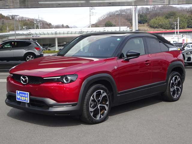 ���Ђ̑��z�\���͌Q�n�����ł̑��z�𖾋L���Ă���܂��B����p�̈������ׂĂ��������B�ǉ���������ǉ��ۏؗ��Ȃǂ���؂��������܂���B�^�̏��o�����z�ł��B�����̕��͌��O�o�^��p�Ɨ�����p���ʓr������܂�