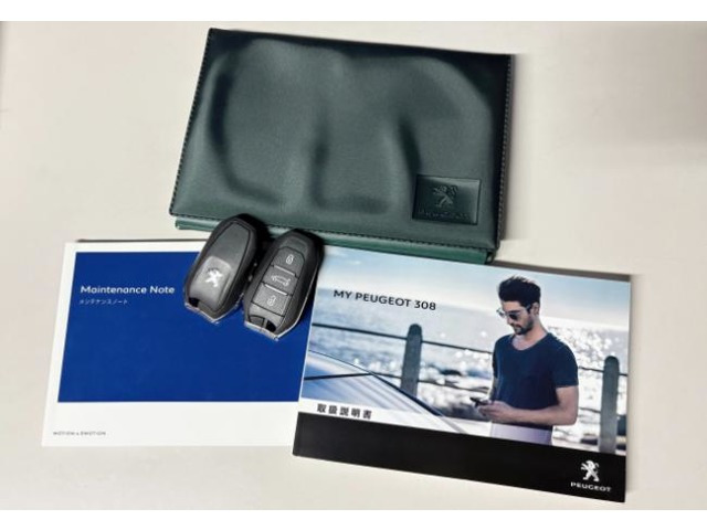 308SWアリュール