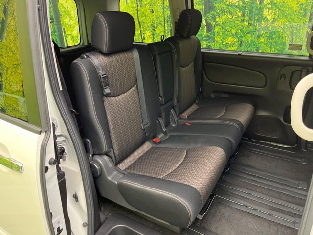 �㕔���Ȃ��C�ɂȂ�悤�ȃL�Y�E�����ւ��蓙�A�傫�ȃ_���[�W�͂Ȃ��A�ǍD�ȏ�Ԃł��B