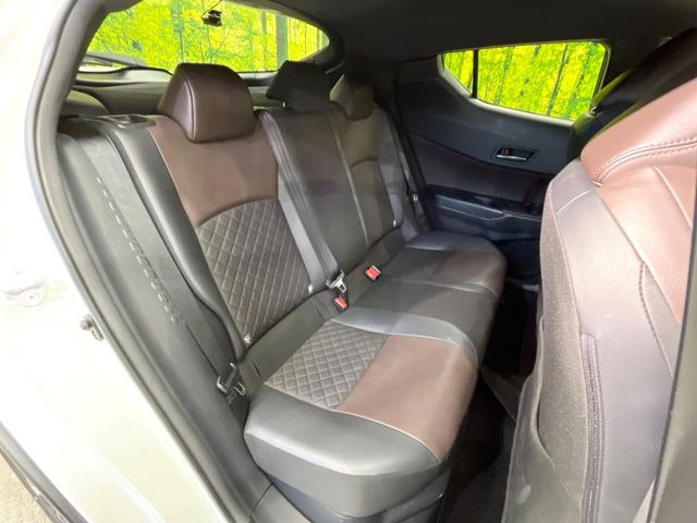 �㕔���Ȃ��C�ɂȂ�悤�ȃL�Y�E�����ւ��蓙�A�傫�ȃ_���[�W�͂Ȃ��A�ǍD�ȏ�Ԃł��B