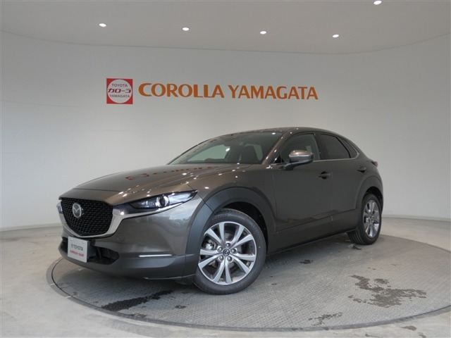 CX-302.0 20S プロアクティブ