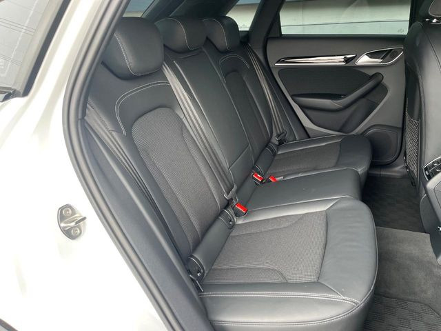 ���㕔���Ȃ��C�ɂȂ�悤�ȃL�Y�E�����ւ��蓙�A�傫�ȃ_���[�W�͂Ȃ��A�ǍD�ȏ�Ԃł��B