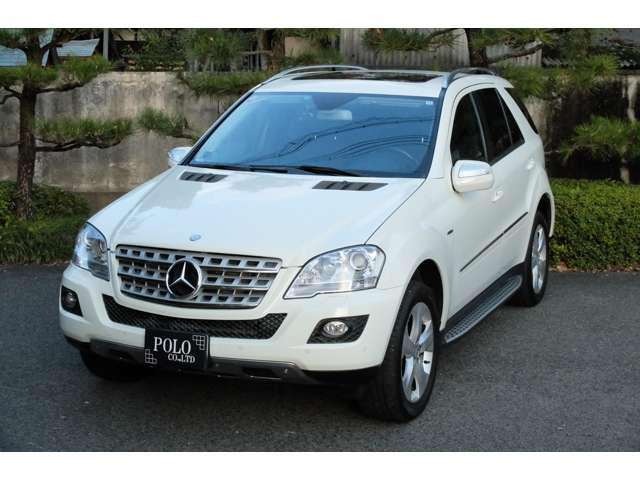 164�f�B�[�[���t�@���K���̈��ł��B�{�f�B�̋P�����ǍD�ł�!!