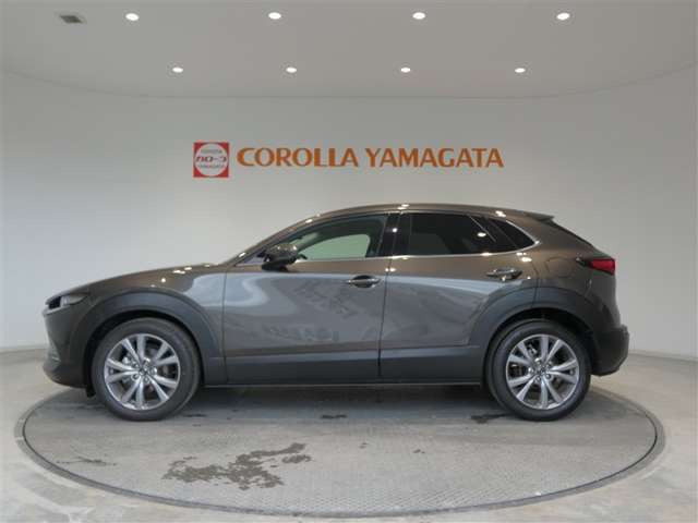 CX-302.0 20S プロアクティブ