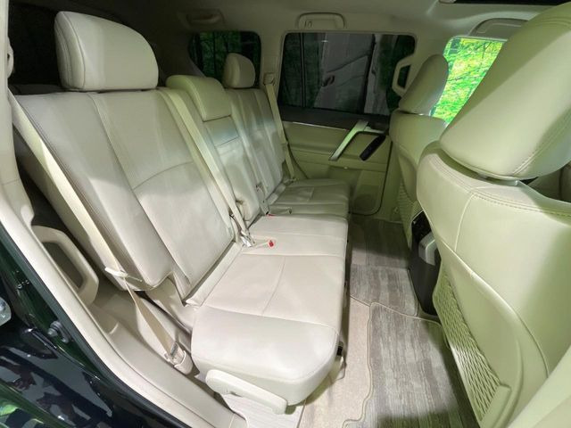 �㕔���Ȃ��C�ɂȂ�悤�ȃL�Y�E�����ւ��蓙�A�傫�ȃ_���[�W�͂Ȃ��A�ǍD�ȏ�Ԃł��B