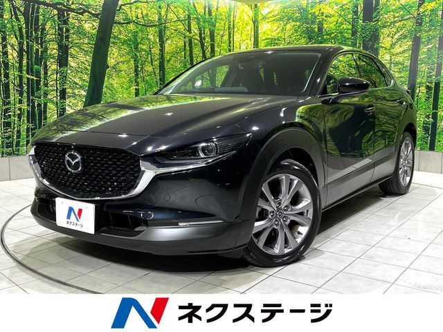 CX-30(�}�c�_) 2.0 20S �v���A�N�e�B�u �c�[�����O�Z���N�V���� ���Îԉ摜