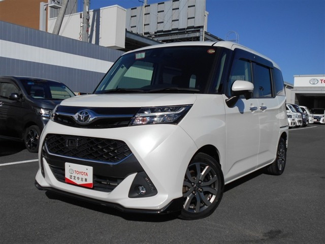 タンク1.0 カスタム G-T