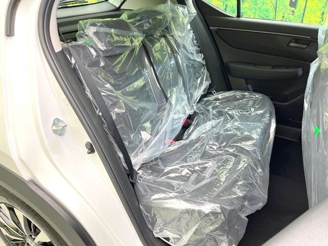 �㕔���Ȃ��C�ɂȂ�悤�ȃL�Y�E�����ւ��蓙�A�傫�ȃ_���[�W�͂Ȃ��A�ǍD�ȏ�Ԃł��B