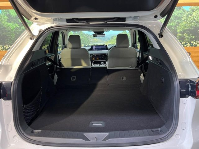 ���i�̂���������ʋ΁A���}���ɏ\���ȉ׎��X�y�[�X���m�ۂ��Ă���܂��B�Z�J���h�V�[�g��|���ƁA�傫�ȉו��̐ύڂ��\�ł���