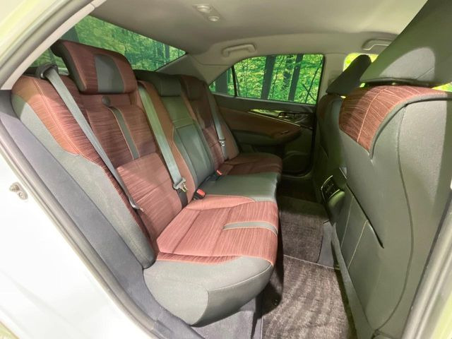 �㕔���Ȃ��C�ɂȂ�悤�ȃL�Y�E�����ւ��蓙�A�傫�ȃ_���[�W�͂Ȃ��A�ǍD�ȏ�Ԃł��B