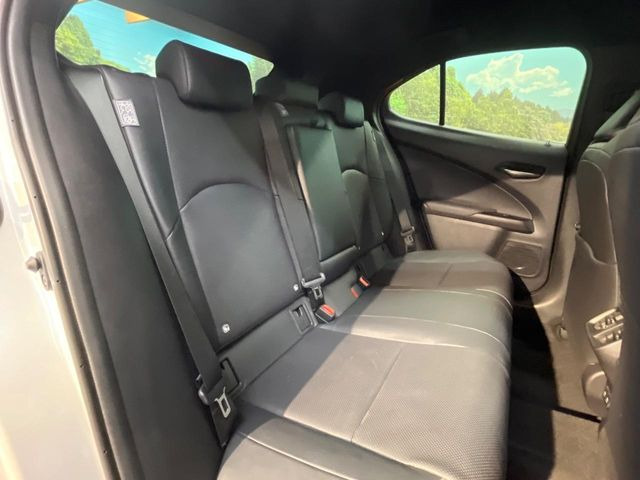 �㕔���Ȃ��C�ɂȂ�悤�ȃL�Y�E�����ւ��蓙�A�傫�ȃ_���[�W�͂Ȃ��A�ǍD�ȏ�Ԃł��B