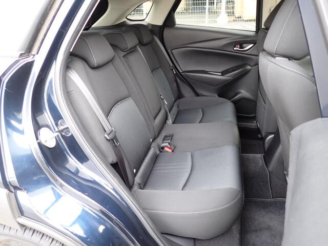 �㕔���Ȃ��傫�ȎC����Ȃ���ԗǍD�ł��B