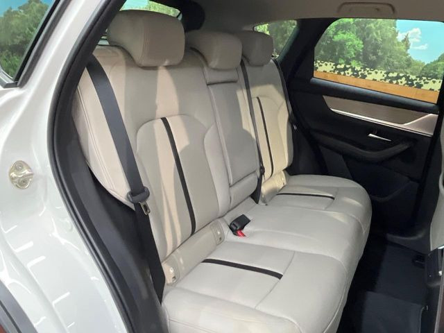 �㕔���Ȃ��C�ɂȂ�悤�ȃL�Y�E�����ւ��蓙�A�傫�ȃ_���[�W�͂Ȃ��A�ǍD�ȏ�Ԃł��B