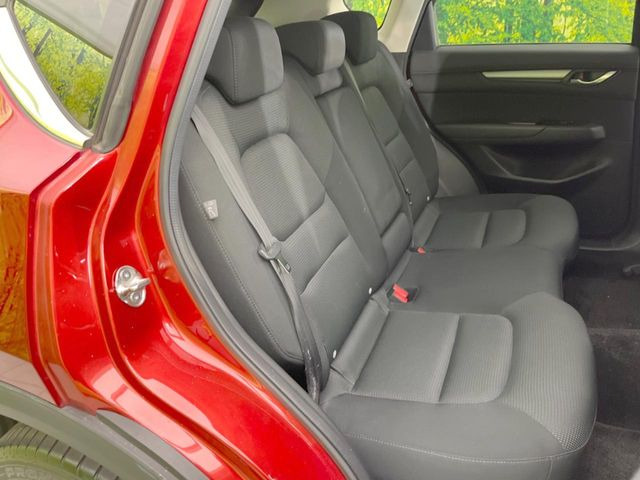 �㕔���Ȃ��C�ɂȂ�悤�ȃL�Y�E�����ւ��蓙�A�傫�ȃ_���[�W�͂Ȃ��A�ǍD�ȏ�Ԃł��B