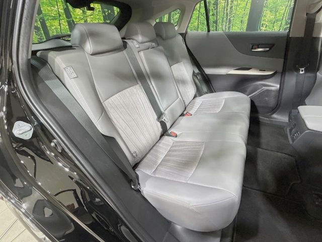 �㕔���Ȃ��C�ɂȂ�悤�ȃL�Y�E�����ւ��蓙�A�傫�ȃ_���[�W�͂Ȃ��A�ǍD�ȏ�Ԃł��B