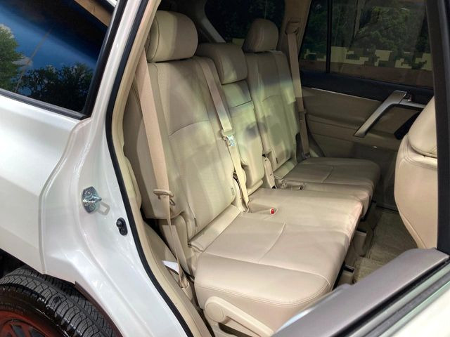 �㕔���Ȃ��C�ɂȂ�悤�ȃL�Y�E�����ւ��蓙�A�傫�ȃ_���[�W�͂Ȃ��A�ǍD�ȏ�Ԃł��B