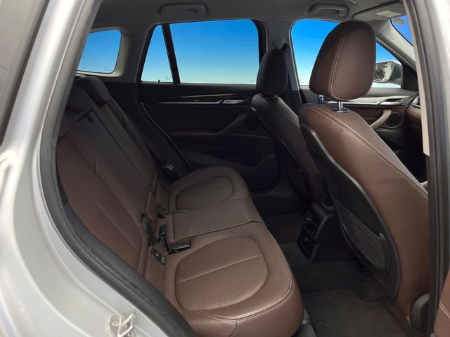 ���㕔���Ȃ��C�ɂȂ�悤�ȃL�Y�E�����ւ��蓙�A�傫�ȃ_���[�W�͂Ȃ��A�ǍD�ȏ�Ԃł��B