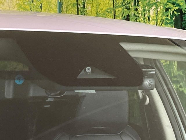 �y�G�}�[�W�F���V�[�u���[�L�z���s���ɑO���̎ԗ�����F�����A�Փ˂������Ȏ��͌x��ƃu���[�L�ŏՓˉ���Ɣ�Q�y�����A�V�X�g�B�����S�Ƀh���C�u�����y���݂��������܂��B