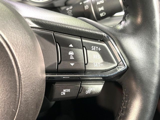 �y�N���[�Y�R���g���[���z�������H�����N���N���s�B�A�N�Z���𗣂��Ă���葬�x�ő��s���ł��A�������^�]���̕��S���y��!�����E�������ȒP�ȃX�C�b�`����Œ����ł��܂��B