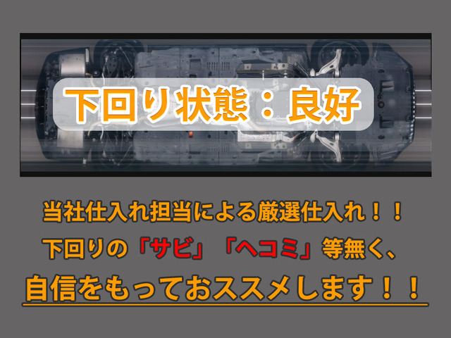 �����̓T�r��ɂ݂��Ȃ��ƂĂ��L���C��1��ł�!�����摜�����ł������t�\�ł�!����LINE���炨�C�y�ɂ��₢���킹��������!!