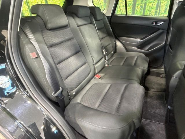 �㕔���Ȃ��C�ɂȂ�悤�ȃL�Y�E�����ւ��蓙�A�傫�ȃ_���[�W�͂Ȃ��A�ǍD�ȏ�Ԃł��B