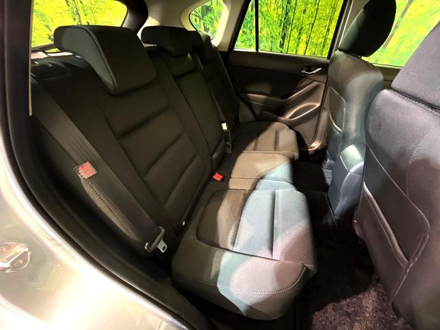 �㕔���Ȃ��C�ɂȂ�悤�ȃL�Y�E�����ւ��蓙�A�傫�ȃ_���[�W�͂Ȃ��A�ǍD�ȏ�Ԃł��B