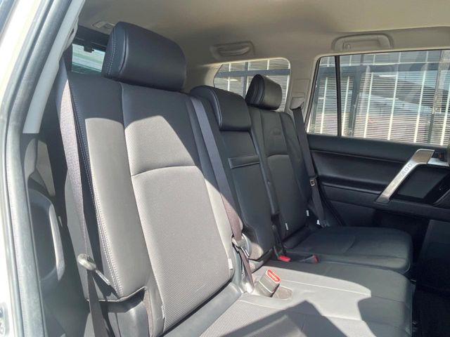 �㕔���Ȃ��C�ɂȂ�悤�ȃL�Y�E�����ւ��蓙�A�傫�ȃ_���[�W�͂Ȃ��A�ǍD�ȏ�Ԃł��B