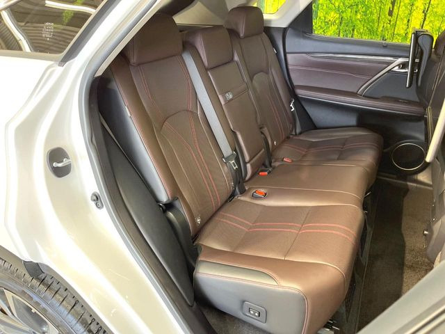 �㕔���Ȃ��C�ɂȂ�悤�ȃL�Y�E�����ւ��蓙�A�傫�ȃ_���[�W�͂Ȃ��A�ǍD�ȏ�Ԃł��B