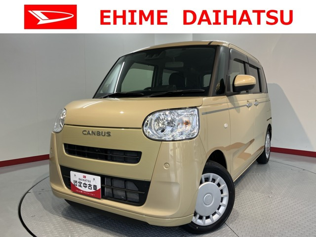 ムーヴキャンバスセオリー X