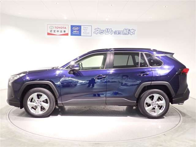 RAV42.0 X