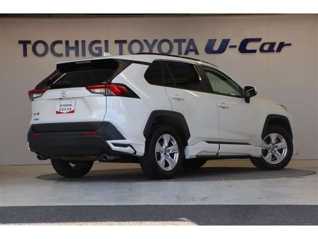 RAV42.0 X