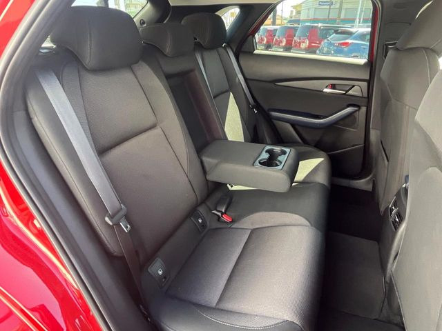 �㕔���Ȃ��C�ɂȂ�悤�ȃL�Y�E�����ւ��蓙�A�傫�ȃ_���[�W�͂Ȃ��A�ǍD�ȏ�Ԃł��B