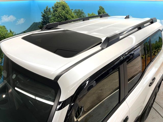 �y�T�����[�t�z�J���������Ղ�̊󏭑����A�T�����[�t����������Ă��܂�!�ԓ��ɖ�����������ꂽ��i�F���y���ވȊO�ɂ��A�ԓ��̋�C���ȒP�Ɋ��C�ł��ĉ��K�ł�!