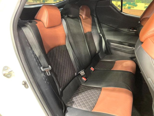 �㕔���Ȃ��C�ɂȂ�悤�ȃL�Y�E�����ւ��蓙�A�傫�ȃ_���[�W�͂Ȃ��A�ǍD�ȏ�Ԃł��B