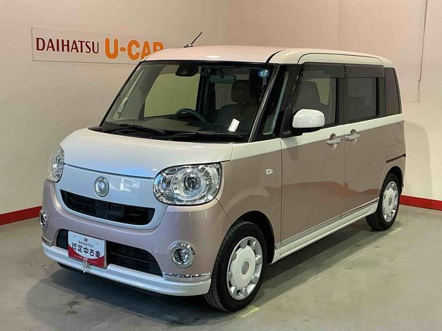 ムーヴキャンバスG メイクアップ SAII