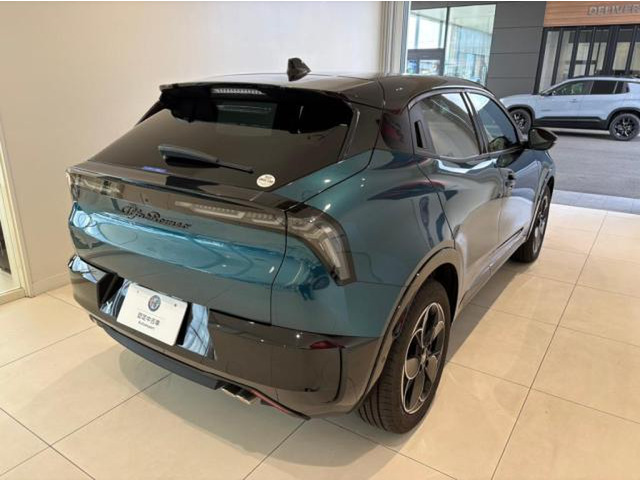 ジュニアイブリダ プレミアム