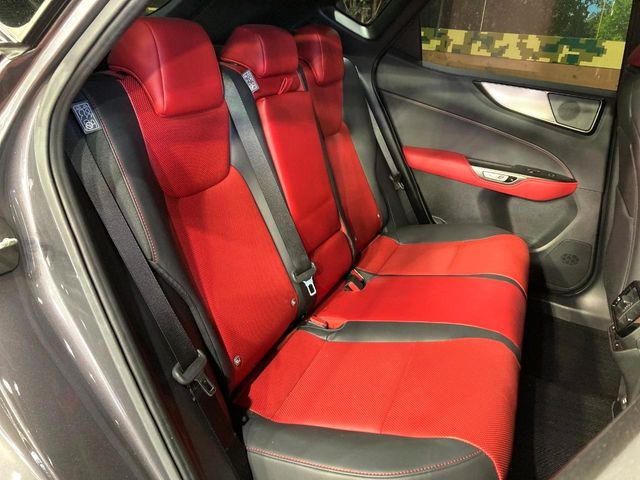 �㕔���Ȃ��C�ɂȂ�悤�ȃL�Y�E�����ւ��蓙�A�傫�ȃ_���[�W�͂Ȃ��A�ǍD�ȏ�Ԃł��B