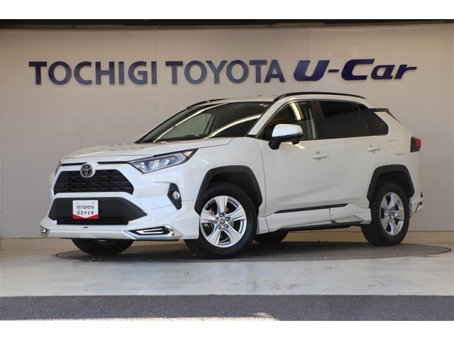 RAV42.0 X