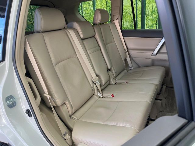 �㕔���Ȃ��C�ɂȂ�悤�ȃL�Y�E�����ւ��蓙�A�傫�ȃ_���[�W�͂Ȃ��A�ǍD�ȏ�Ԃł��B