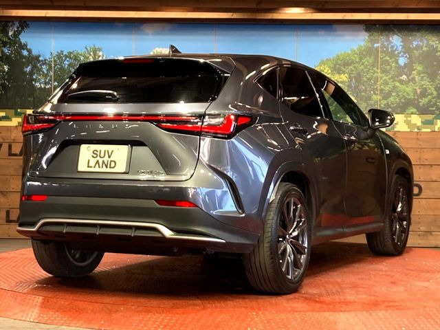 ���S���̃l�N�X�e�[�W���炨���񂹂��\��!�����̓X�܂ɓW�����Ă���N���}���C�ɂȂ�ꍇ���A�Ŋ��̓X�܂ł��������������Ƃ��\�ł�!���񎄂����ɗv�]������������������!���ʓr��p